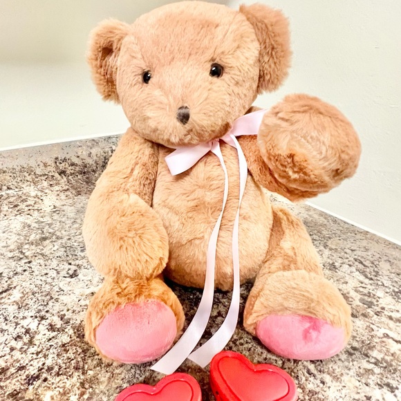 Adorable Bear with Voice Recorder NWT - Picture 5 of 9